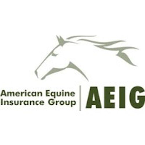 American Equine